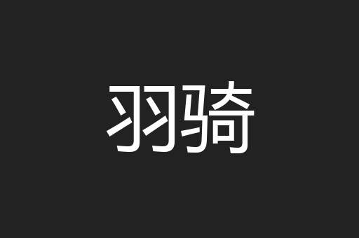 羽骑