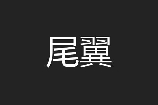 尾翼