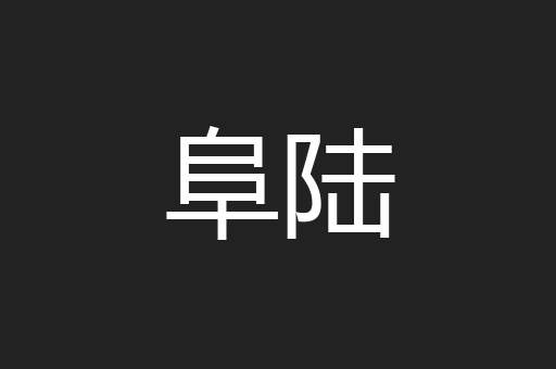 阜陆