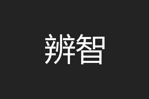 辨智