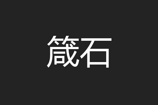 箴石