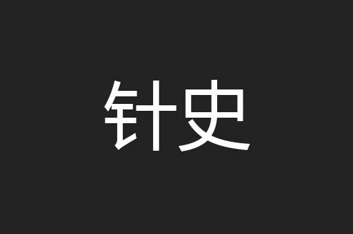 针史