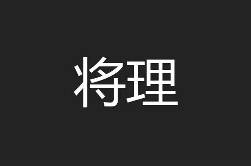 将理