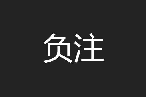 负注