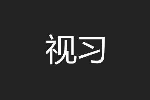 视习