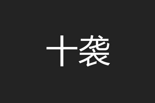十袭