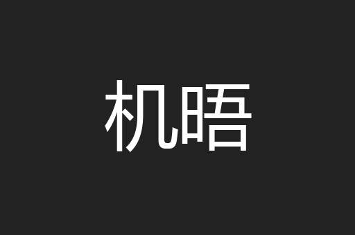机晤