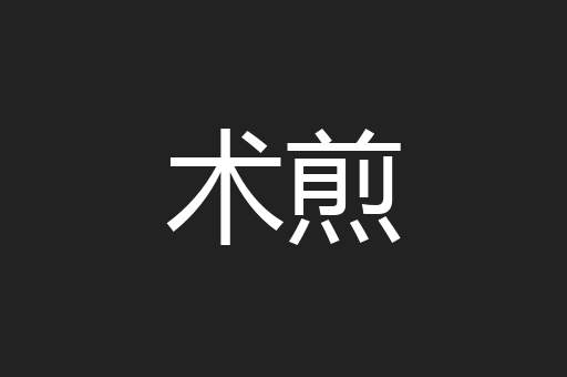 术煎