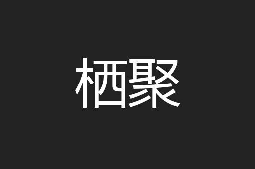 栖聚