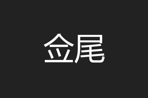 佥尾