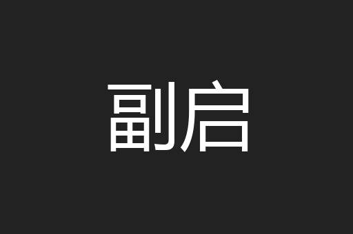 副启