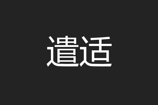 遣适