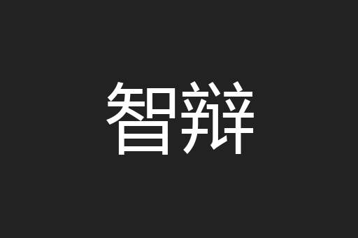 智辩