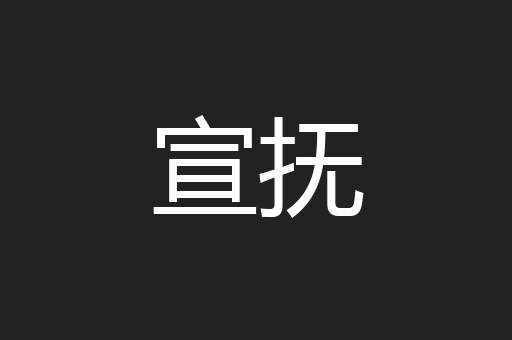 宣抚