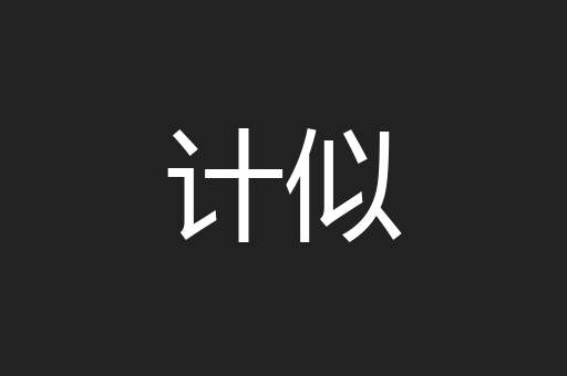 计似