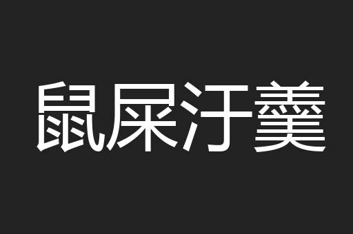 鼠屎汙羹