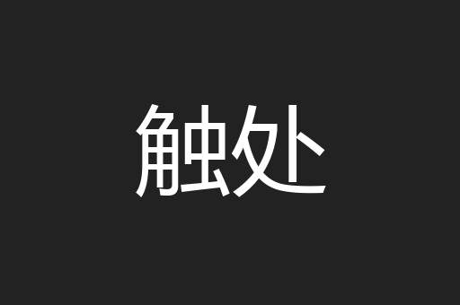 触处