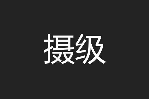 摄级