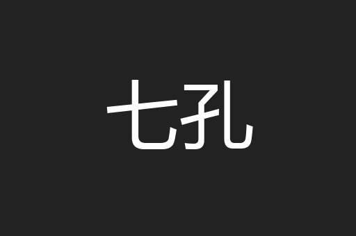 七孔