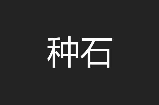 种石