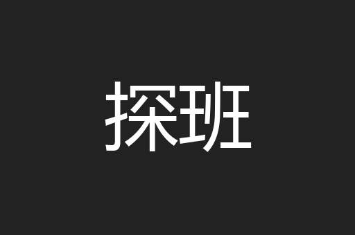 探班