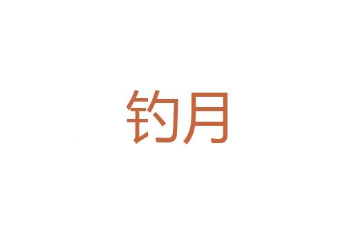 表纸
