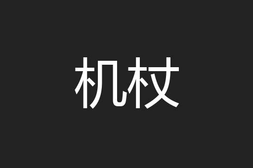 机杖