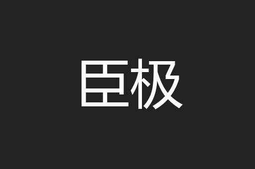 臣极