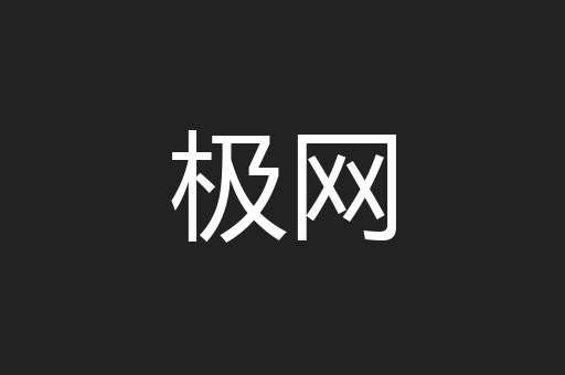 极网