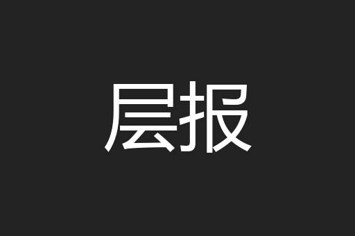 层报