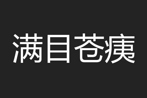 满目苍痍