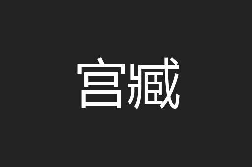 宫臧