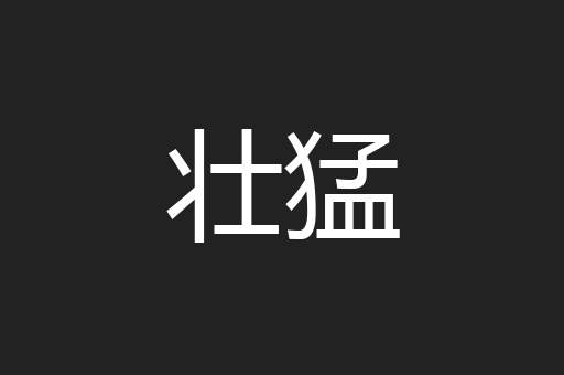 壮猛
