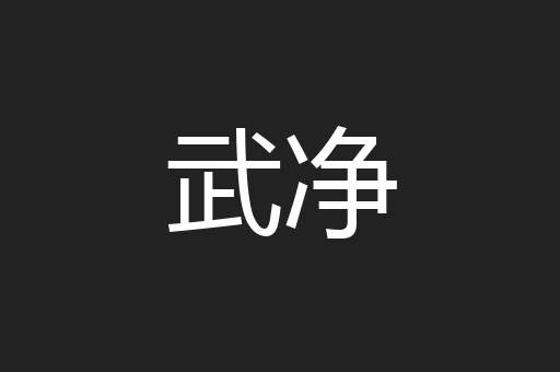 武净