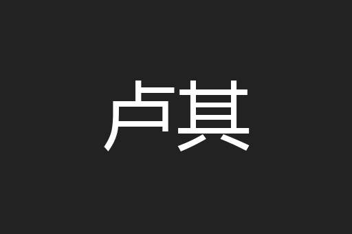 卢其