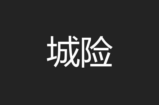 城险