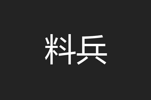 料兵