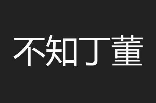 不知丁董