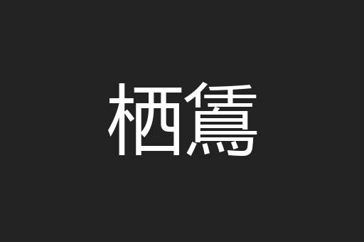 栖鵀