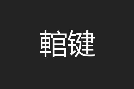 輨键