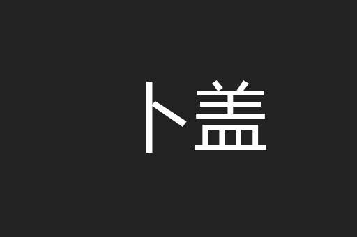 卜盖