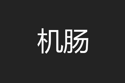 机肠