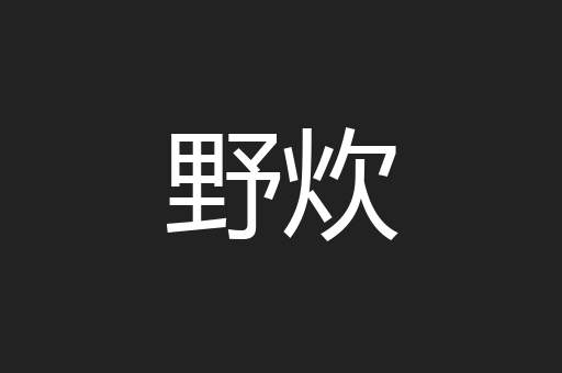 野炊