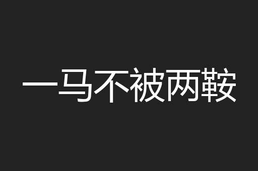 一马不被两鞍