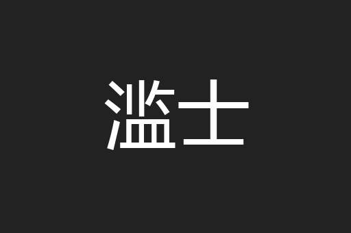 滥士