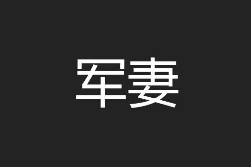 军妻
