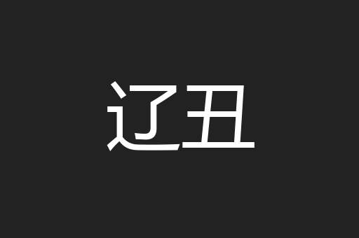 辽丑