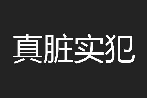 真脏实犯
