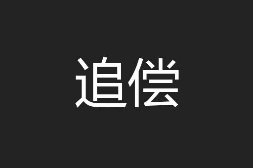 追偿