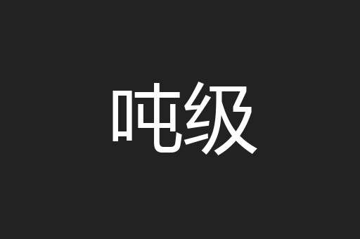 吨级